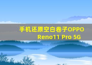 手机还原空白卷子OPPO Reno11 Pro 5G